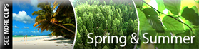 Spring & Summer